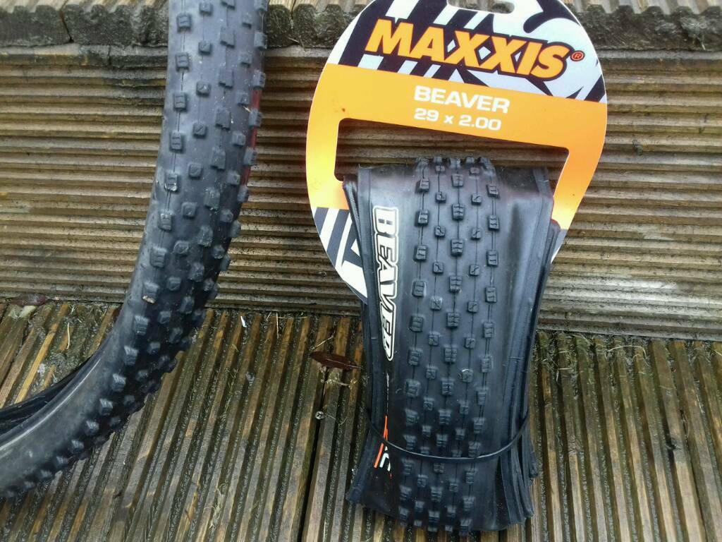 beaver maxxis